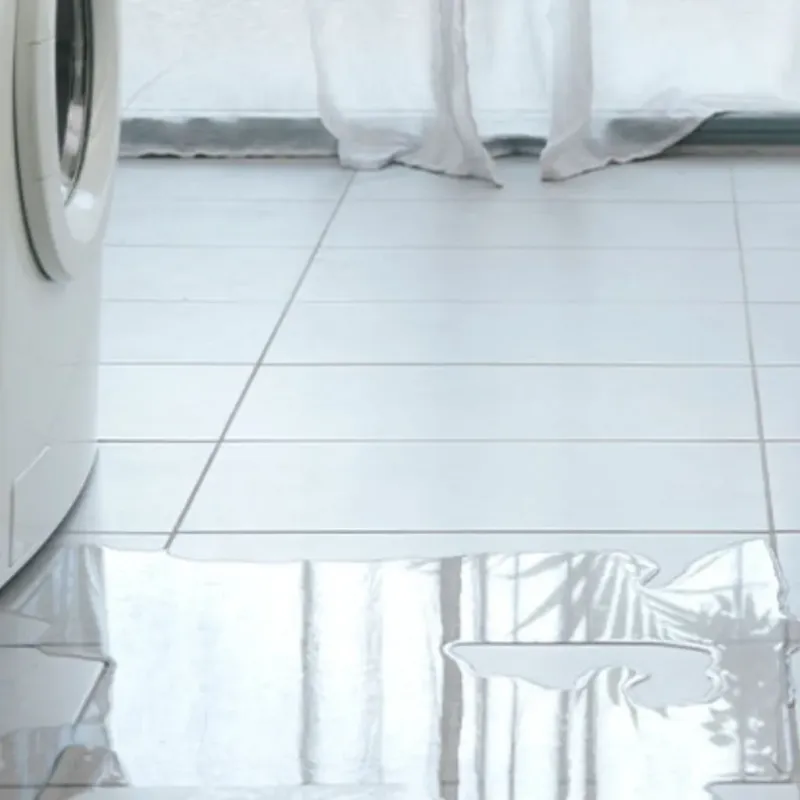 Appliance Leak Cleanup in Sequim, WA