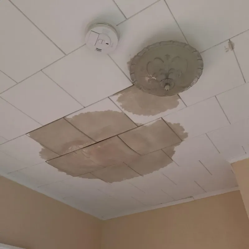 Ceiling Water Damage Repair in Sequim, WA