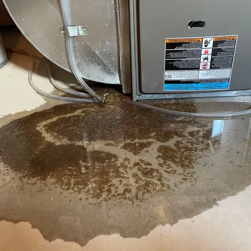Pipe Burst and Leak Restoration in Sequim, WA